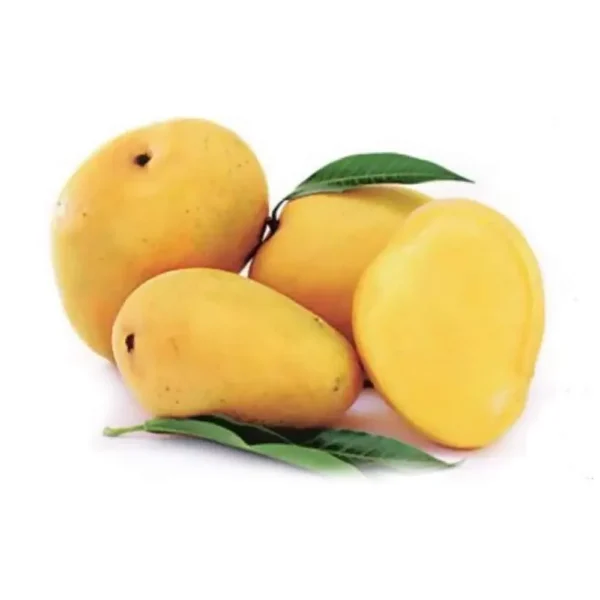 badam mango