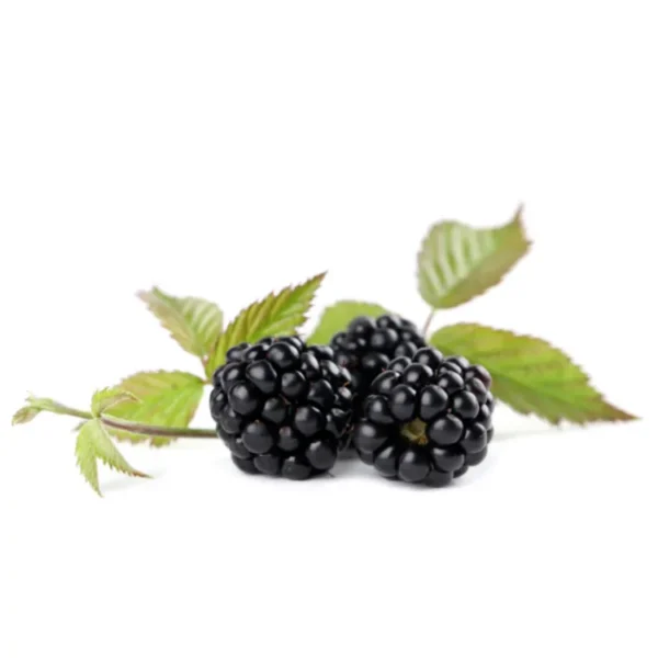 black berry