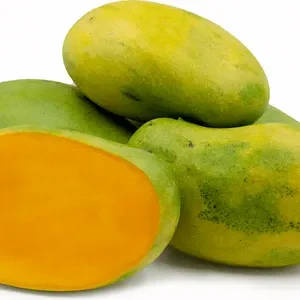 sundari mango