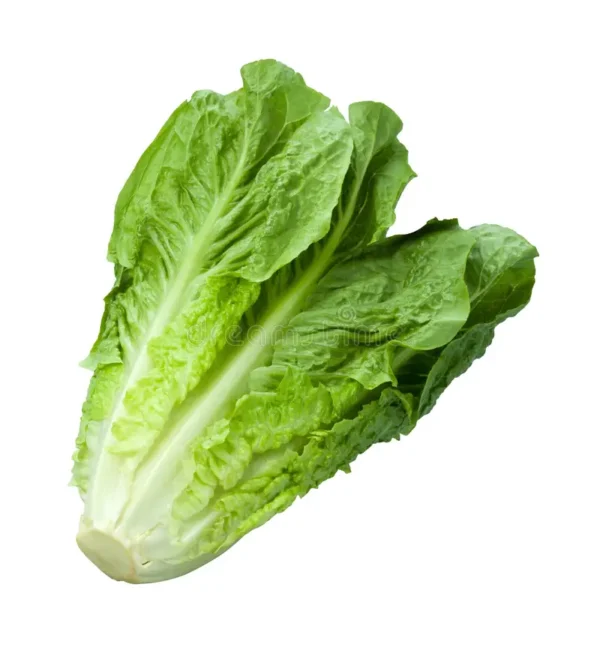 lettuse